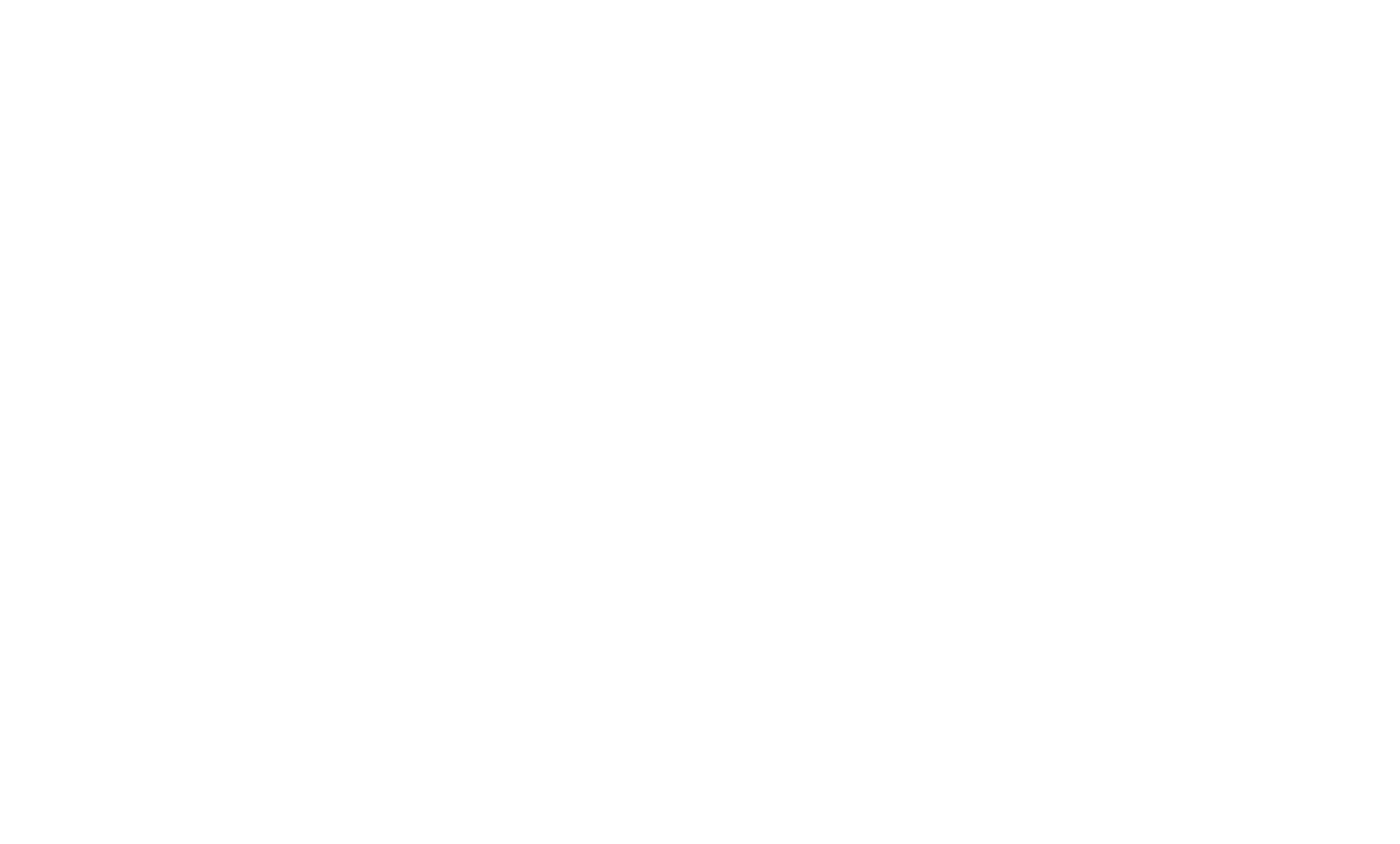 FSM digital business Logo